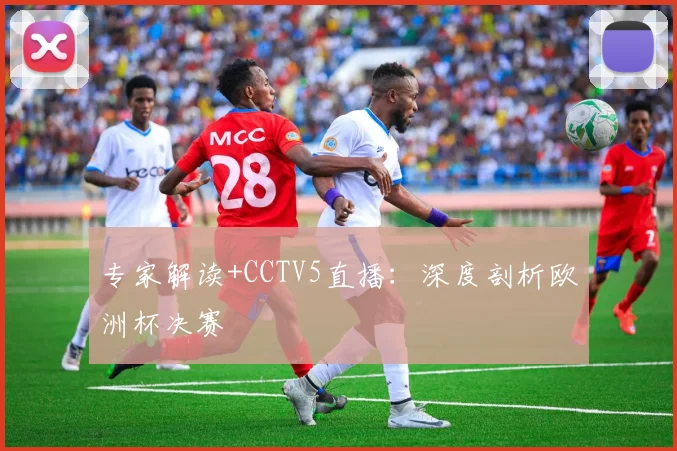 专家解读+CCTV5直播：深度剖析欧洲杯决赛